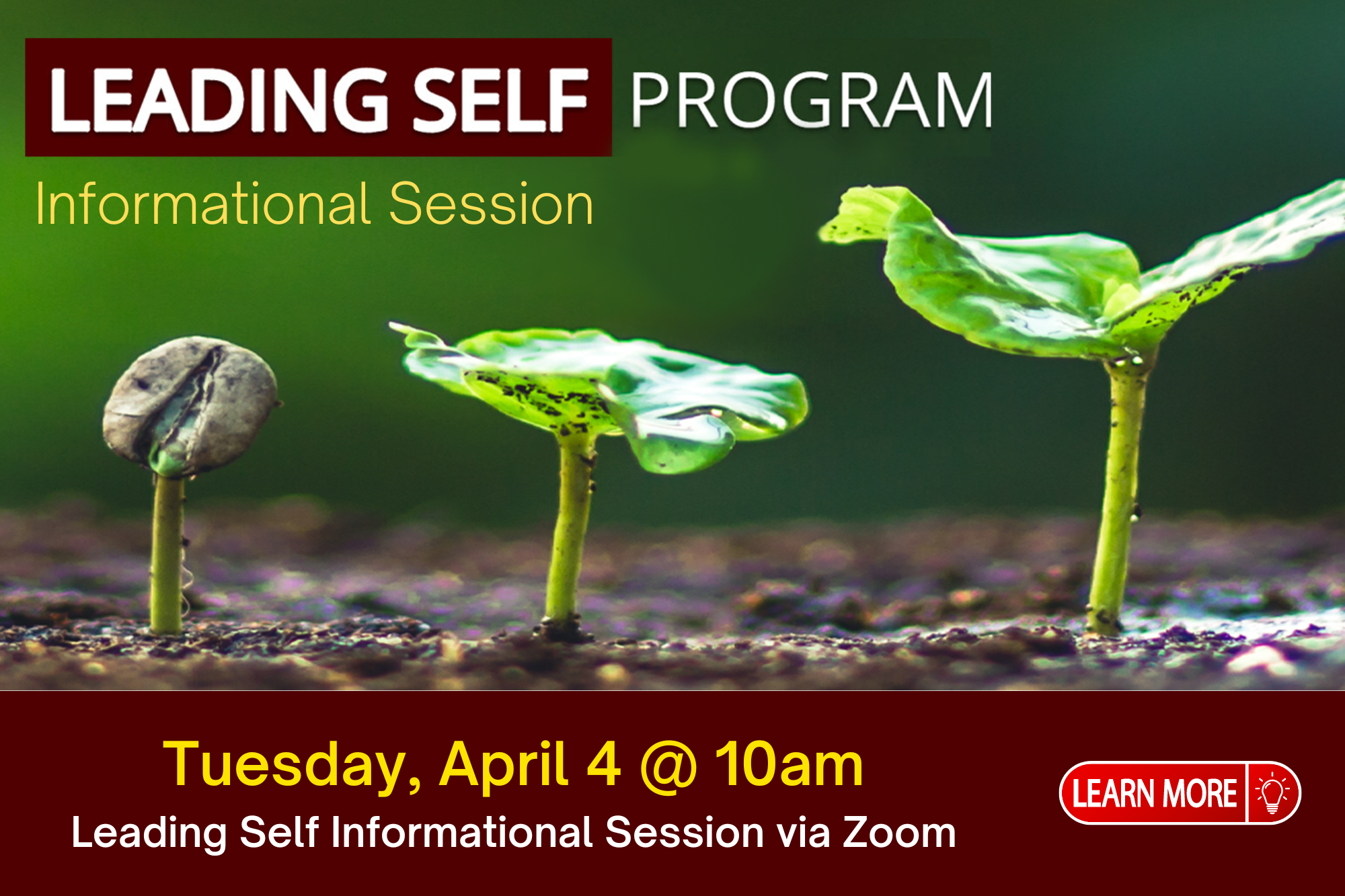 Leading Self Info Sessions