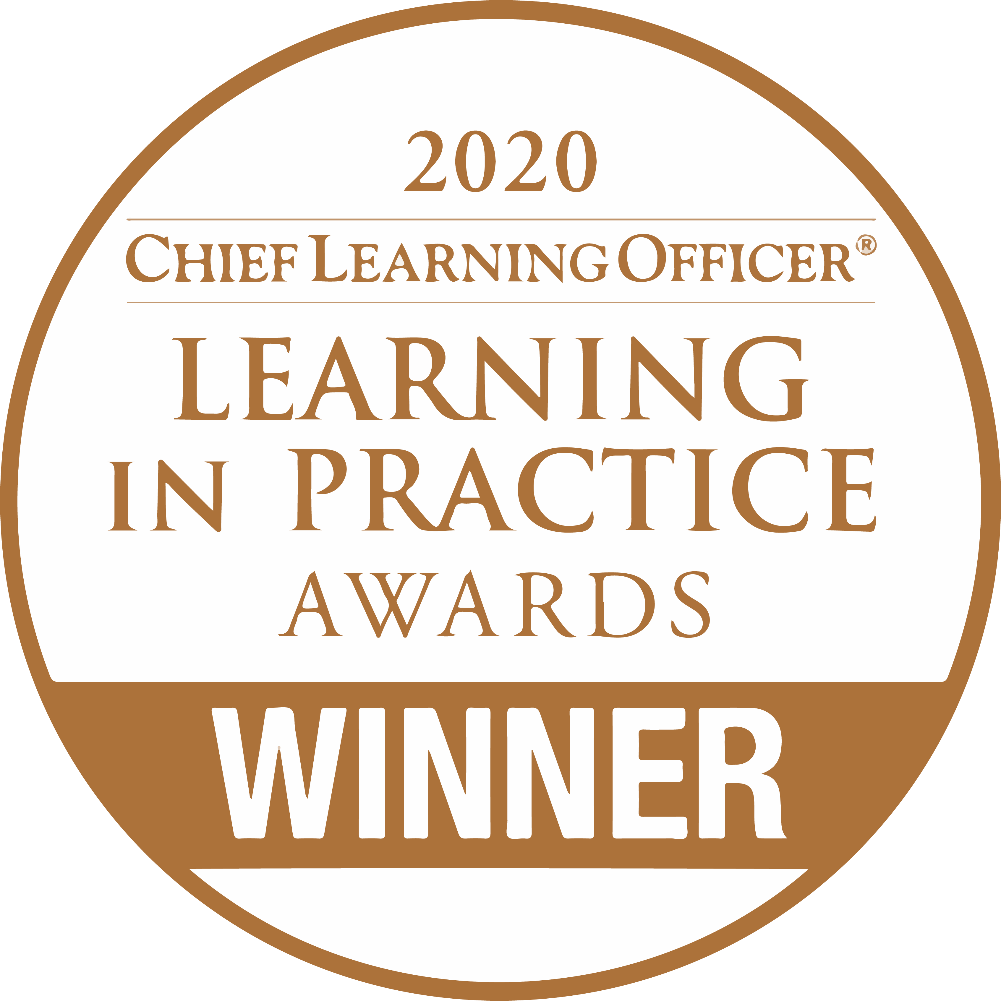 Chief Learning Officer Learning in Practice Award